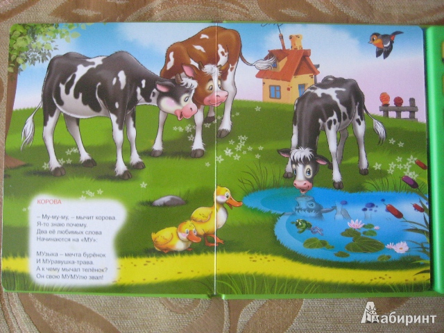 Иллюстрация 5 из 8 для Домашние животные | Лабиринт - книги. Источник: Tanyusha_Iv