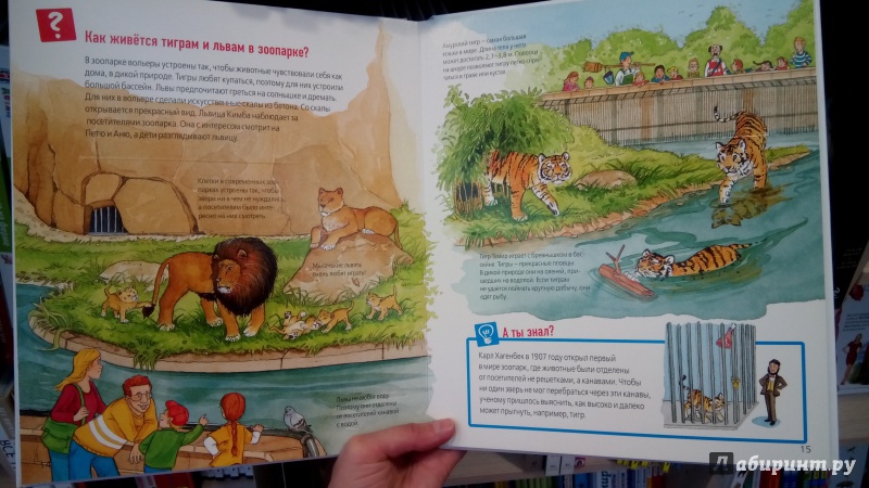 Иллюстрация 29 из 40 для Животные в зоопарке - Забине Шук | Лабиринт - книги. Источник: Мила