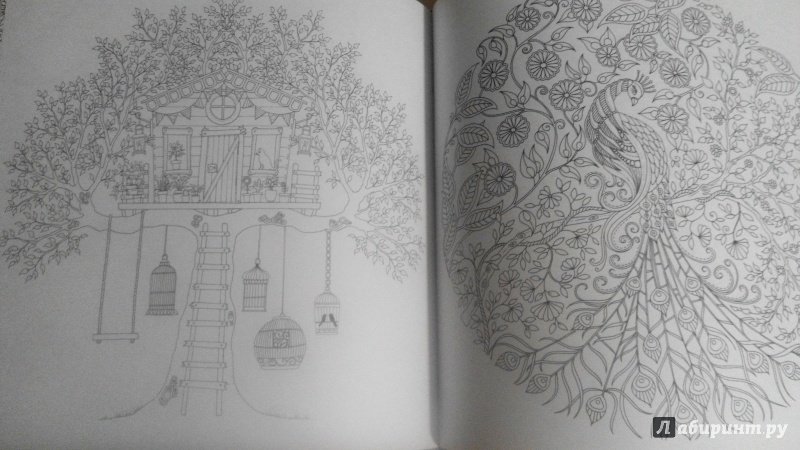 Иллюстрация 147 из 149 для Таинственный сад - Джоанна Бэсфорд | Лабиринт - книги. Источник: Красная шапочка