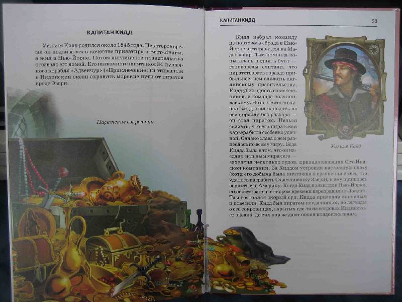 Иллюстрация 10 из 40 для Пираты - Григорий Крылов | Лабиринт - книги. Источник: Трухина Ирина