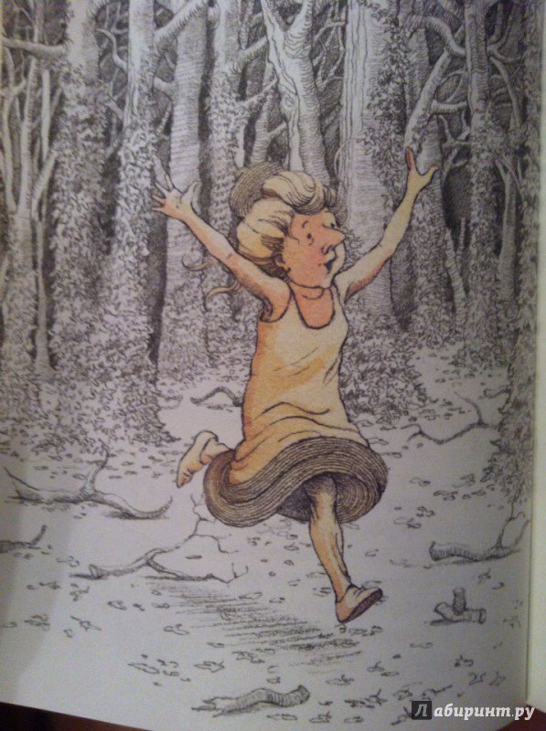 Иллюстрация 58 из 70 для Алиса в Зазеркалье - Льюис Кэрролл | Лабиринт - книги. Источник: Илюшина  Екатерина