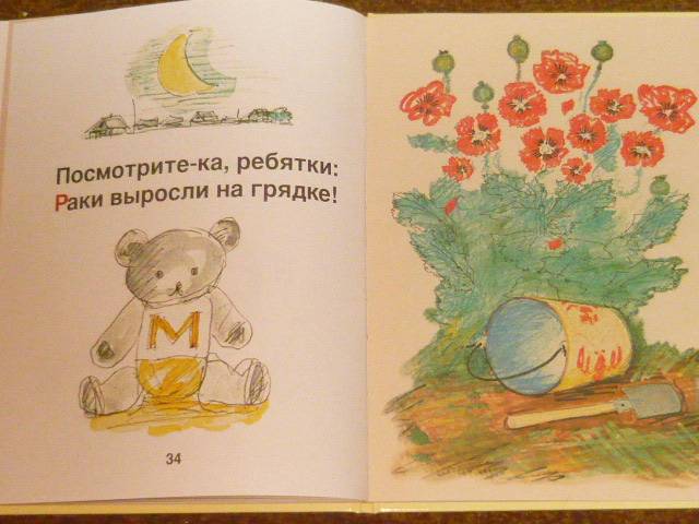 Иллюстрация 14 из 24 для Буква заблудилась - Александр Шибаев | Лабиринт - книги. Источник: Ромашка:-)