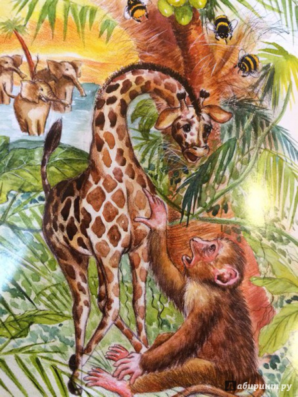 Иллюстрация 11 из 13 для Почему у жирафа длинная шея - Елена Ермолова | Лабиринт - книги. Источник: lady.cosh