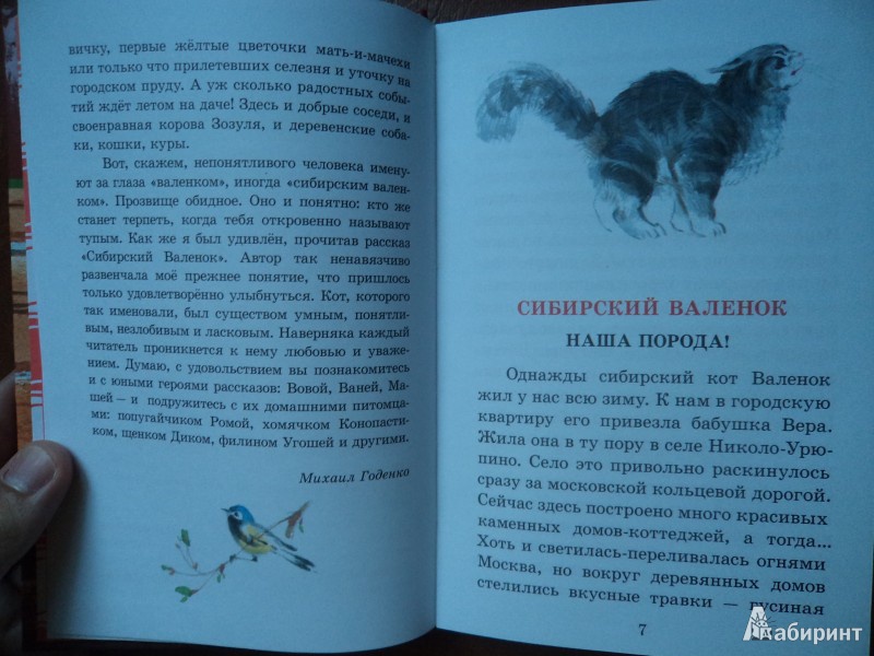 Иллюстрация 5 из 15 для Сибирский валенок - Светлана Вьюгина | Лабиринт - книги. Источник: Karfagen