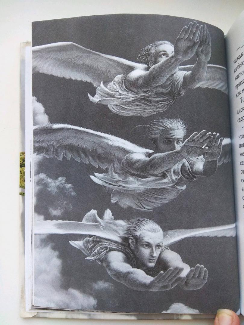 Иллюстрация 27 из 28 для Чайка Джонатан Ливингстон (новая авторская версия) - Ричард Бах | Лабиринт - книги. Источник: dark.elen