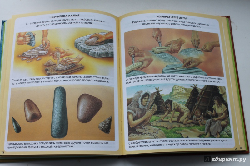 Иллюстрация 50 из 58 для Миллион лет до нашей эры - Эмили Бомон | Лабиринт - книги. Источник: Макарова  Анастасия