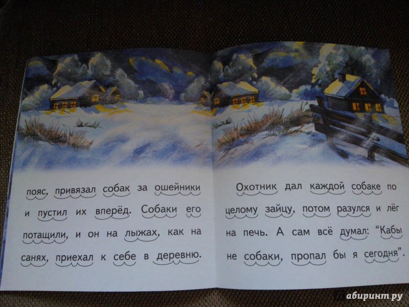 Иллюстрация 24 из 24 для Охотник и собаки - Борис Житков | Лабиринт - книги. Источник: Вероника Руднева