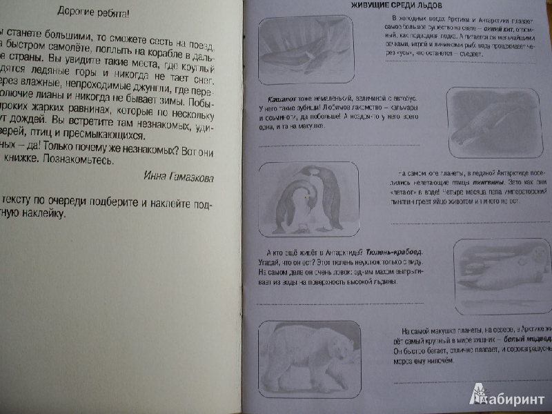 Иллюстрация 5 из 6 для Животные дальних стран. Книжка с наклейками | Лабиринт - книги. Источник: Tiger.