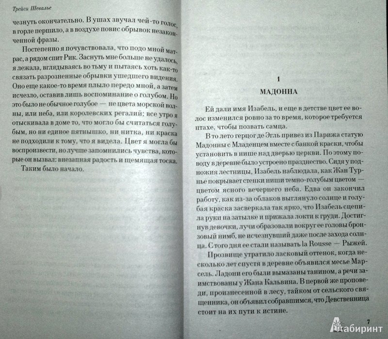 Иллюстрация 4 из 8 для Дева в голубом - Трейси Шевалье | Лабиринт - книги. Источник: Леонид Сергеев