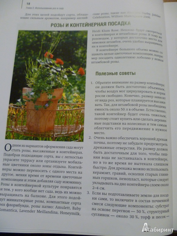 Иллюстрация 6 из 27 для Розы в дизайне вашего сада - Юлия Тадеуш | Лабиринт - книги. Источник: Avid Reader