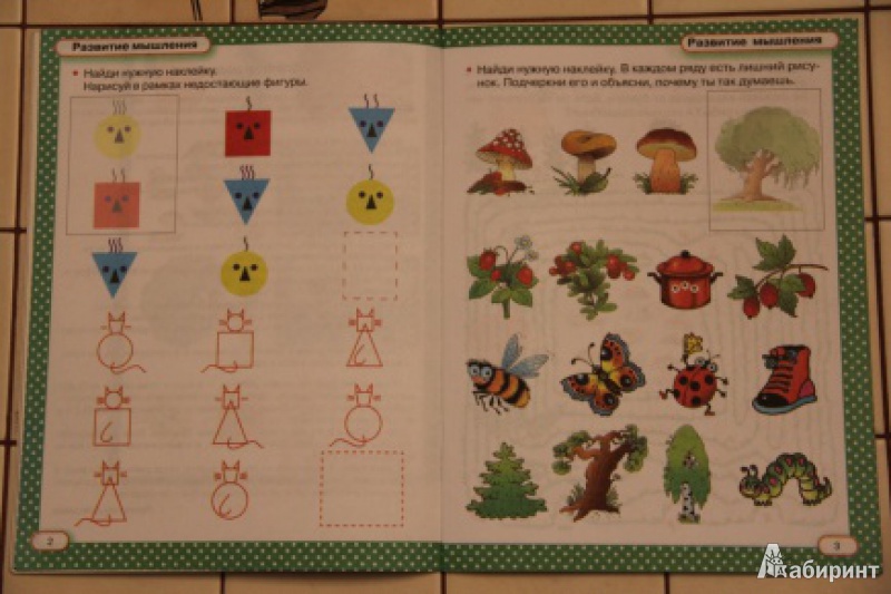 Иллюстрация 3 из 9 для Тесты с наклейками. Что должен знать ваш ребенок. 4-5 лет - Валентина Дмитриева | Лабиринт - книги. Источник: loko-moko