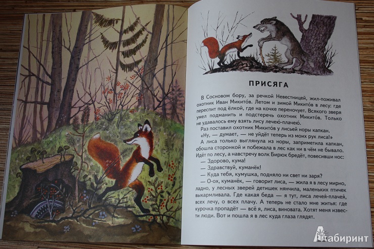 Иллюстрация 47 из 48 для Русские народные сказки. Комплект из 5 книг в папке | Лабиринт - книги. Источник: КНИЖНОЕ ДЕТСТВО