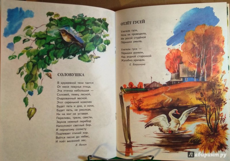 Иллюстрация 32 из 36 для Соловушка | Лабиринт - книги. Источник: Бог в помощь