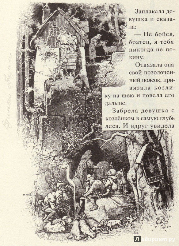Иллюстрация 21 из 68 для Сказки - Гримм Якоб и Вильгельм | Лабиринт - книги. Источник: Трубадур