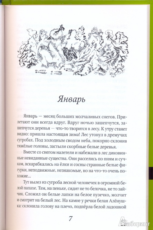 Иллюстрация 4 из 5 для Лесные тайнички - Николай Сладков | Лабиринт - книги. Источник: mechta