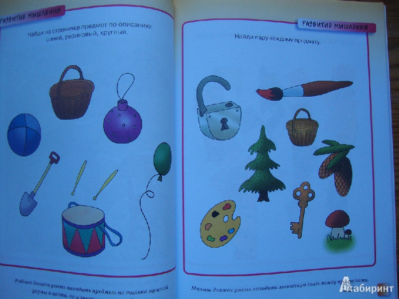 Иллюстрация 23 из 25 для Развивающие тесты для детей 2-3 лет - Ольга Земцова | Лабиринт - книги. Источник: Tutti  Frutti