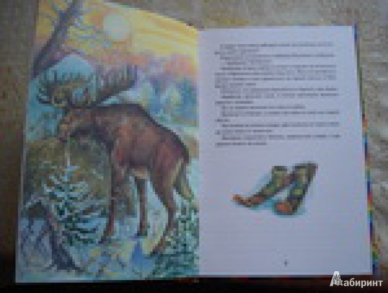 Иллюстрация 5 из 31 для Охотничьи истории - Геннадий Снегирев | Лабиринт - книги. Источник: Комар Татьяна