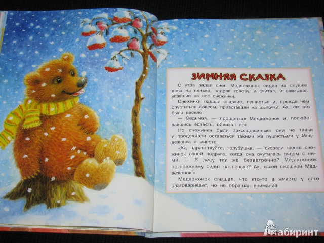 Иллюстрация 15 из 79 для Зимние сказки - Сергей Козлов | Лабиринт - книги. Источник: Nemertona