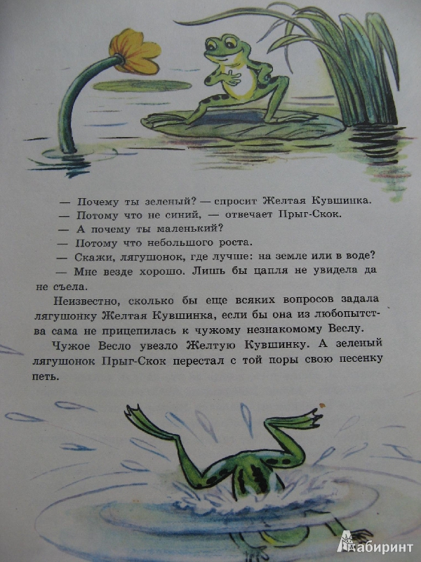 Иллюстрация 15 из 24 для Сказки в картинках В. Сутеева | Лабиринт - книги. Источник: Ольга