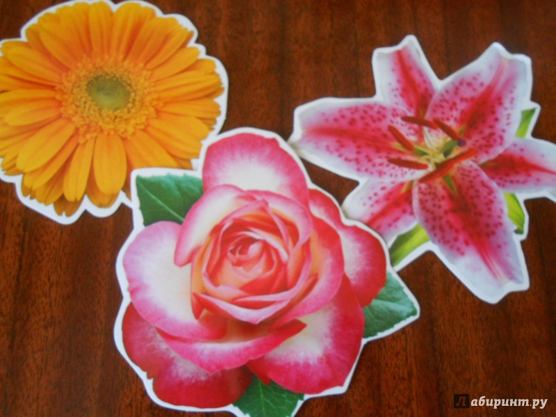 Иллюстрация 3 из 16 для Набор цветов на скотче для украшения стен (КМ-7996) | Лабиринт - сувениры. Источник: Леан