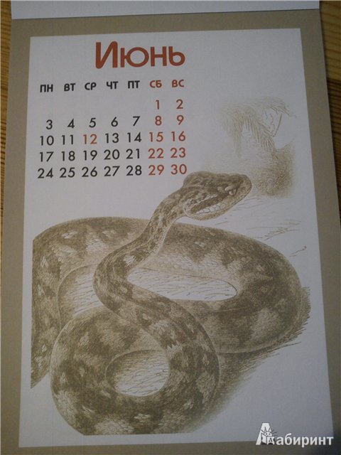 Иллюстрация 2 из 2 для Календарь 2013 прямоугольный на магните "Год змеи" | Лабиринт - сувениры. Источник: Бусёк