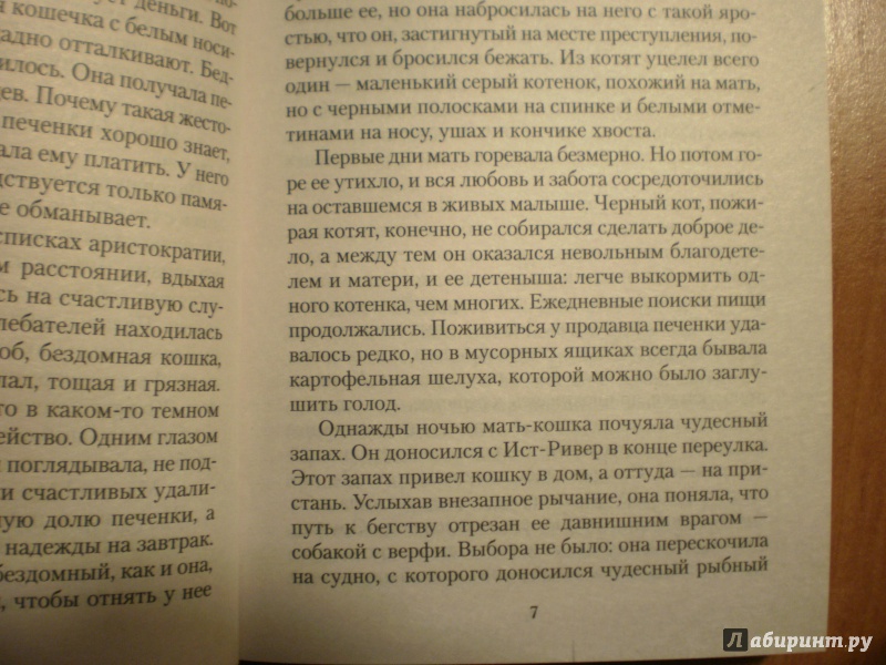 Иллюстрация 7 из 21 для Рассказы о животных - Эрнест Сетон-Томпсон | Лабиринт - книги. Источник: Nanced Lovett