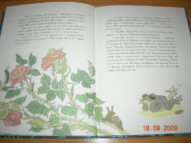 Иллюстрация 49 из 83 для Серая Звёздочка - Борис Заходер | Лабиринт - книги. Источник: Соловей