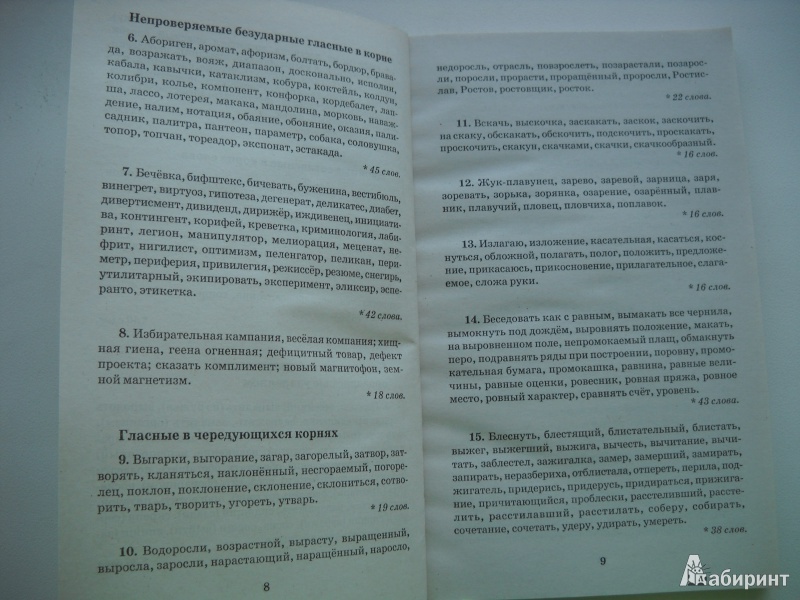 Иллюстрация 6 из 7 для Сборник диктантов по русскому языку для 10-11 классов | Лабиринт - книги. Источник: VoronChaize