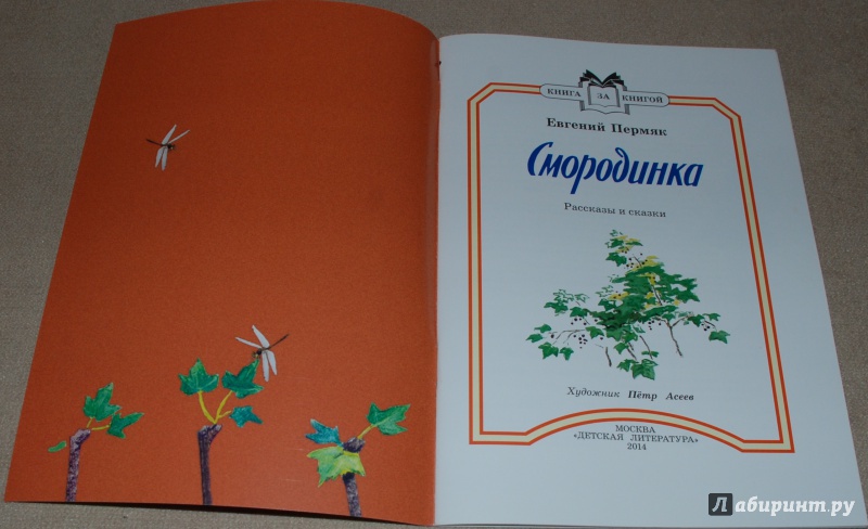 Иллюстрация 3 из 46 для Смородинка - Евгений Пермяк | Лабиринт - книги. Источник: Книжный кот