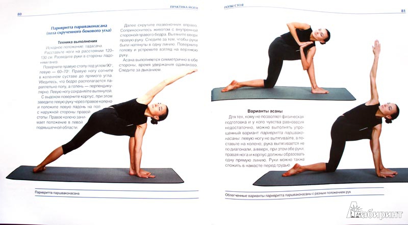 Иллюстрация 5 из 12 для Йога-анатомия. Как работают асаны для здоровья и стройности тела - Фомин, Громаковская | Лабиринт - книги. Источник: chita-drita