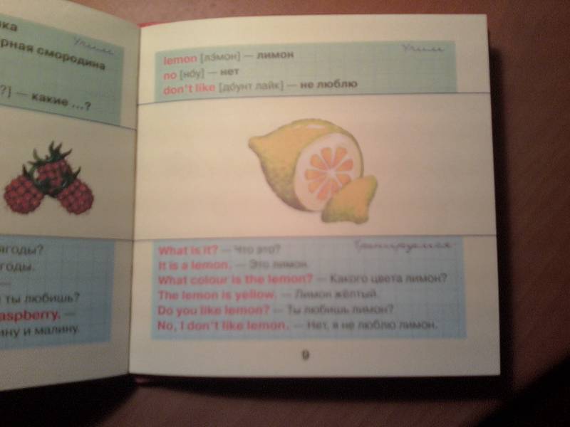 Иллюстрация 10 из 15 для Овощи и фрукты - Галина Шалаева | Лабиринт - книги. Источник: Марина В.