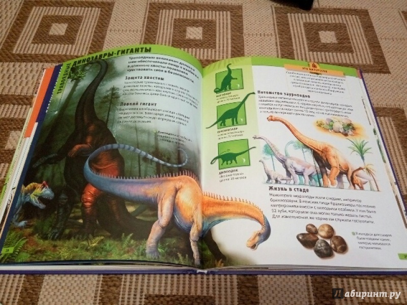 Иллюстрация 6 из 10 для Мир динозавров - Барбара Маевская | Лабиринт - книги. Источник: Лазурченко  Надежда