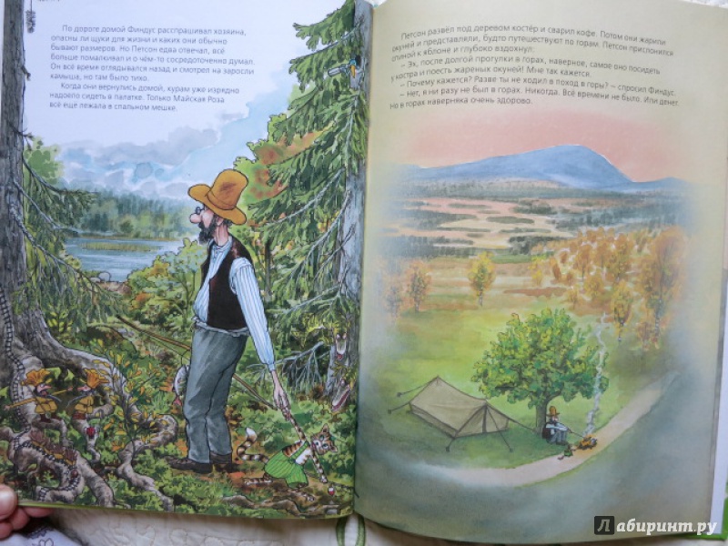 Иллюстрация 21 из 44 для Петсон идёт в поход - Свен Нурдквист | Лабиринт - книги. Источник: Юта
