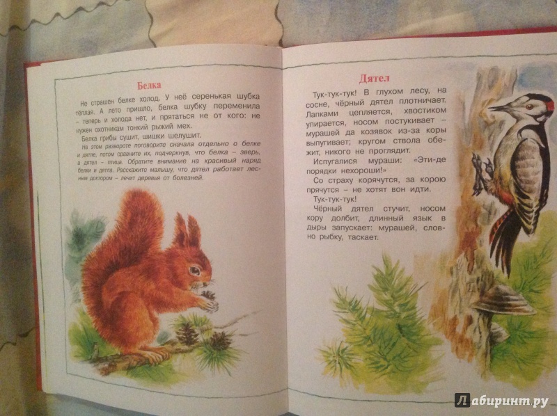 Иллюстрация 36 из 39 для Большая книга для малышей. Любимая книга малыша: для чтения от 6 месяцев: сборник | Лабиринт - книги. Источник: Дарья_S