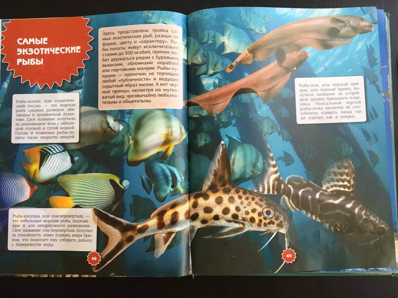 Иллюстрация 15 из 21 для Подводный мир - Ликсо, Третьякова | Лабиринт - книги. Источник: Ольга Тон