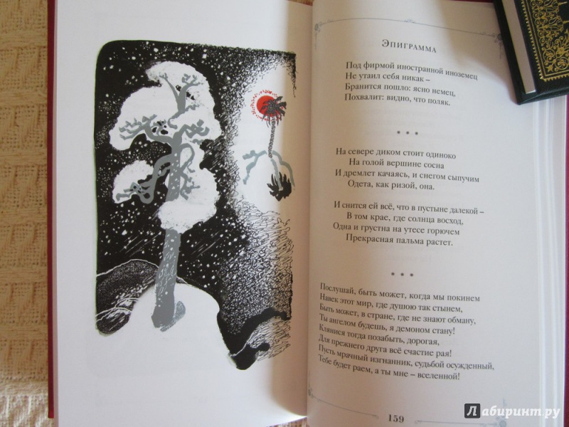 Иллюстрация 31 из 39 для Стихотворения - Михаил Лермонтов | Лабиринт - книги. Источник: ЮлияО