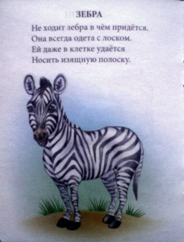 Иллюстрация 12 из 21 для Приходите в зоопарк - Наталья Томилина | Лабиринт - книги. Источник: Бривух