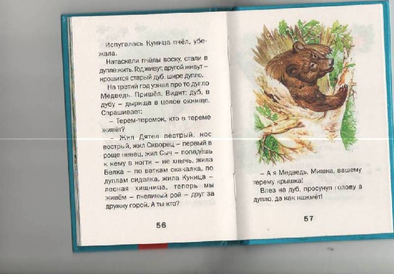 Иллюстрация 7 из 23 для Лесные сказки - Виталий Бианки | Лабиринт - книги. Источник: SVETLANKA