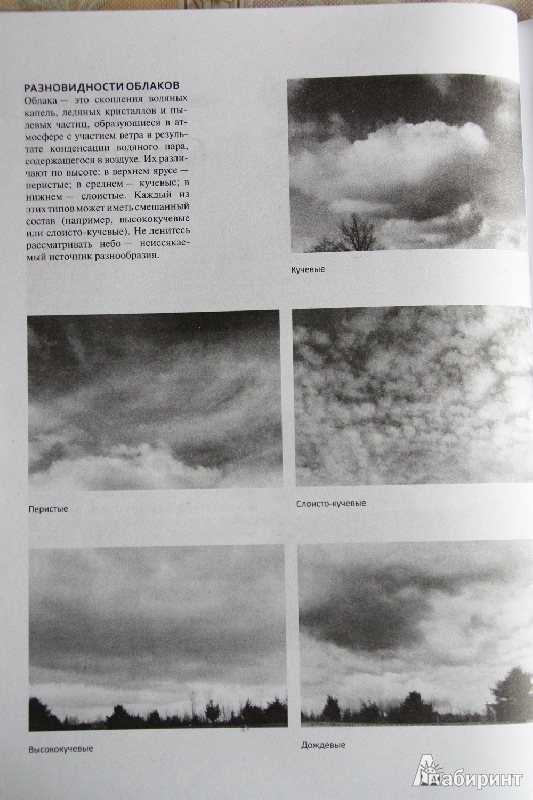 Иллюстрация 28 из 30 для Пейзаж. Техника рисования - Стенли Молцмен | Лабиринт - книги. Источник: С  Т