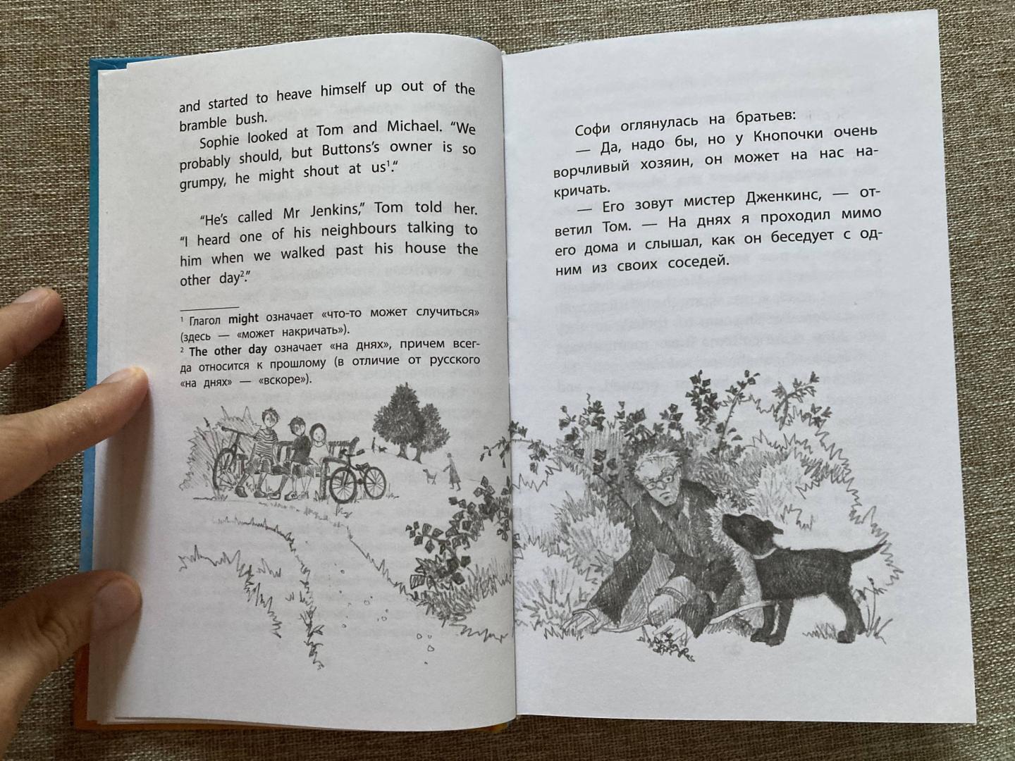 Иллюстрация 12 из 15 для Щенок Кнопочка, или Умная малышка - Холли Вебб | Лабиринт - книги. Источник: Батыршин  Марат
