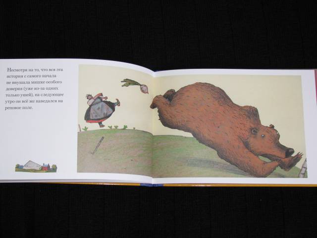 Иллюстрация 31 из 38 для Медвежье чудо - Вольф Эрльбрух | Лабиринт - книги. Источник: Nemertona