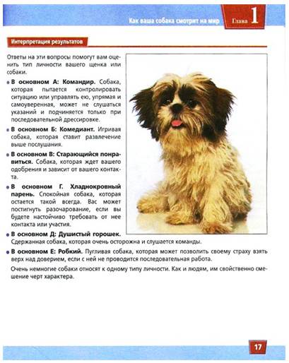 Иллюстрация 13 из 20 для Дрессировка собак. Визуальное пособие - Сара Ходсон | Лабиринт - книги. Источник: Золотая рыбка