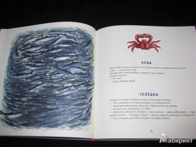 Иллюстрация 57 из 61 для Кто в море живет - Святослав Сахарнов | Лабиринт - книги. Источник: Nemertona
