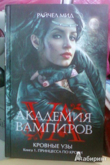 Иллюстрация 2 из 11 для Академия вампиров. Кровные узы. Книга 1. Принцесса по крови - Райчел Мид | Лабиринт - книги. Источник: Коман  Елена Анатольевна