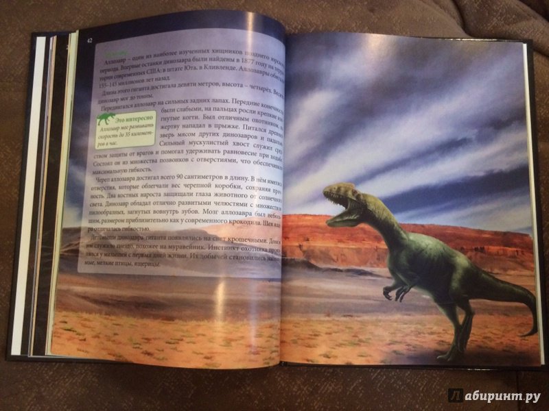 Иллюстрация 22 из 36 для Динозавры - Ирина Астапенко | Лабиринт - книги. Источник: Лабиринт