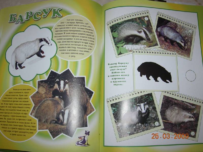 Иллюстрация 21 из 29 для Ребятам про зверят | Лабиринт - книги. Источник: Соловей