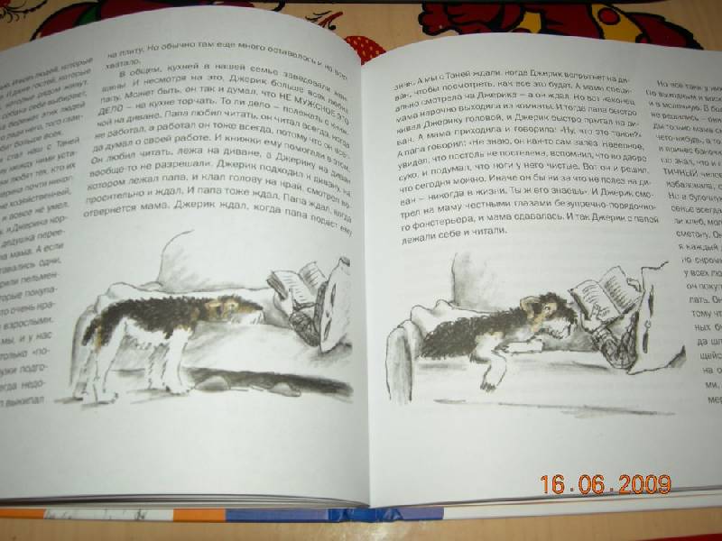 Иллюстрация 12 из 15 для Приключения Джерика - Наталья Нусинова | Лабиринт - книги. Источник: Соловей