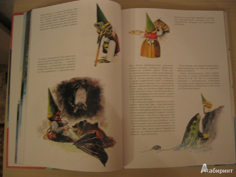 Иллюстрация 17 из 77 для Тайны гномов - Вил Хёйген | Лабиринт - книги. Источник: Dmit