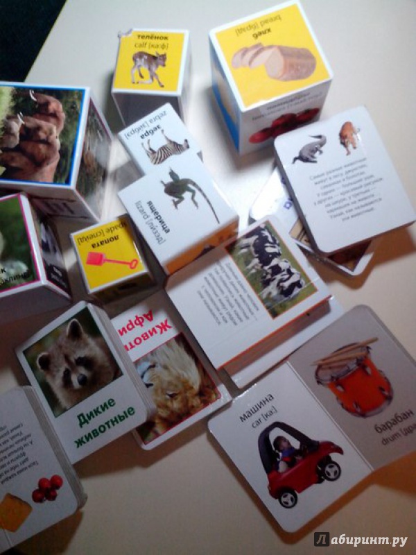 Иллюстрация 7 из 8 для Животный мир: пять книжек-картонок и пять вкладывающихся друг в друга картонных кубиков | Лабиринт - книги. Источник: Коваленко  Кристина