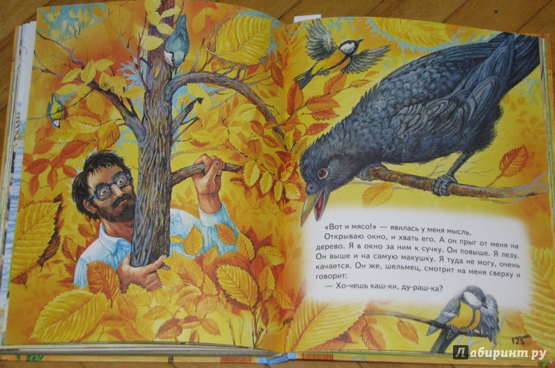 Иллюстрация 21 из 22 для Большая птичья книга | Лабиринт - книги. Источник: Штерн  Яна